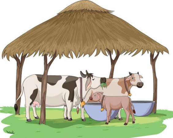 cow_image